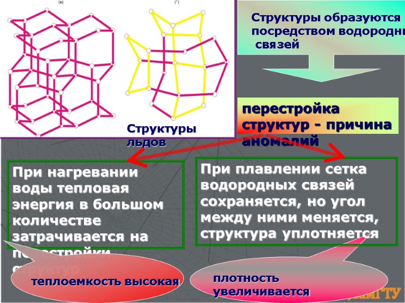 перестройка структур - причина аномалий   Структуры образуются посредством водородных  связей Структуры